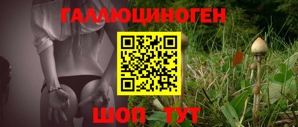Псилоцибиновые грибы Magic Shrooms  Галлюциногенные грибы мицелий  Ликино-Дулёво  Вход с VPN 